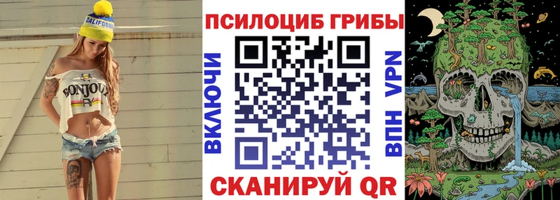 где найти наркотики  Когалым  Псилоцибиновые грибы Psilocybine cubensis 